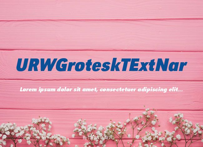 URWGroteskTExtNar example