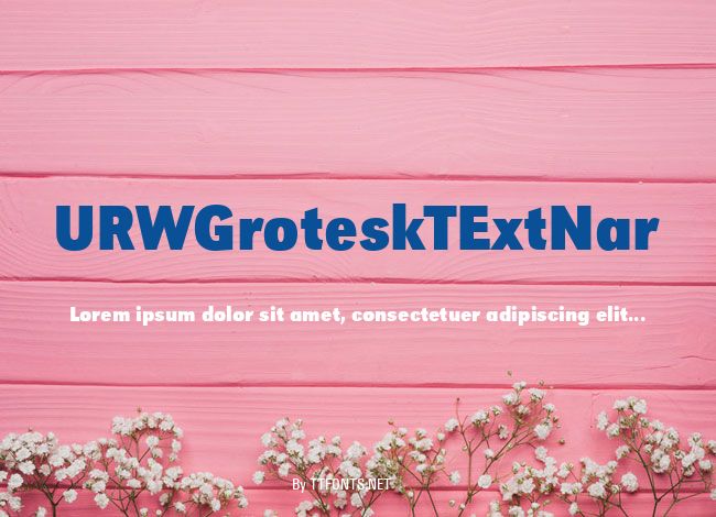 URWGroteskTExtNar example
