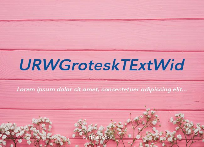 URWGroteskTExtWid example