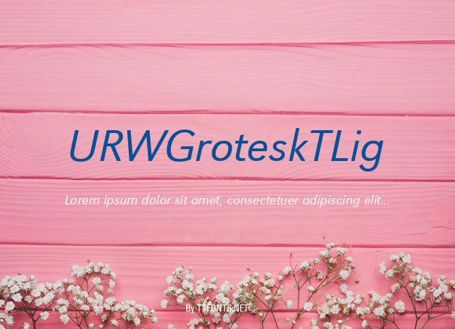 URWGroteskTLig example