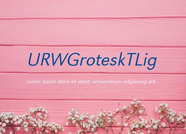 URWGroteskTLig example