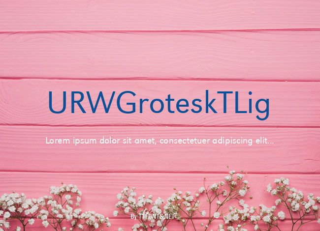 URWGroteskTLig example