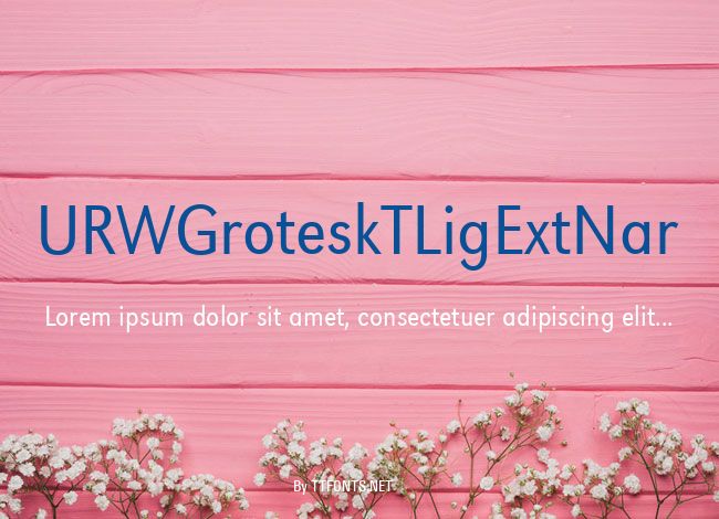 URWGroteskTLigExtNar example