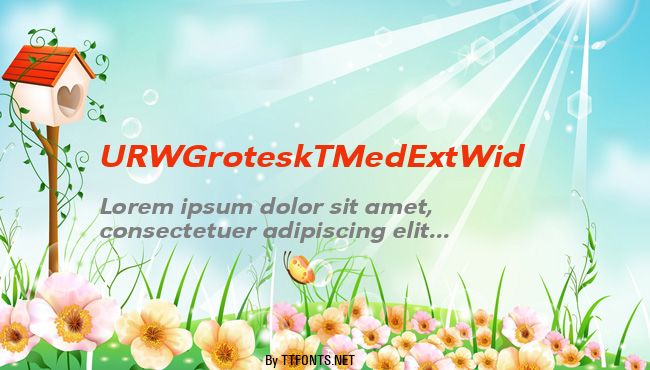 URWGroteskTMedExtWid example