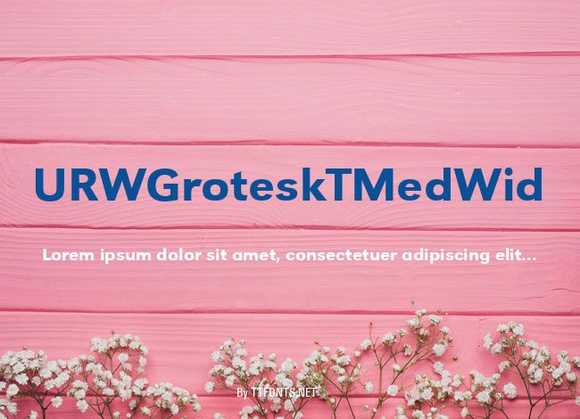 URWGroteskTMedWid example