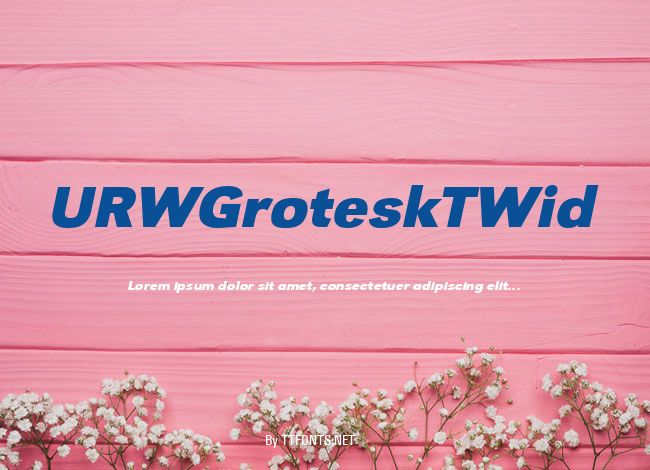 URWGroteskTWid example