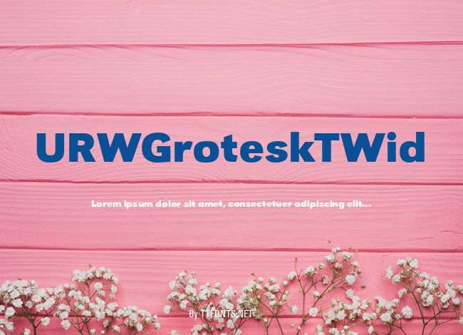 URWGroteskTWid example