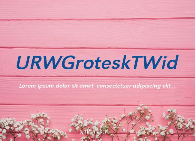 URWGroteskTWid example