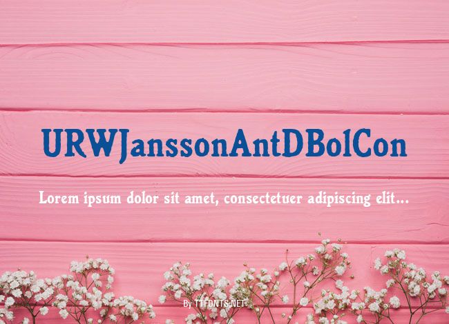 URWJanssonAntDBolCon example