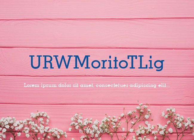 URWMoritoTLig example