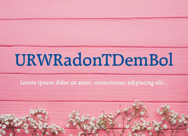 URWRadonTDemBol example