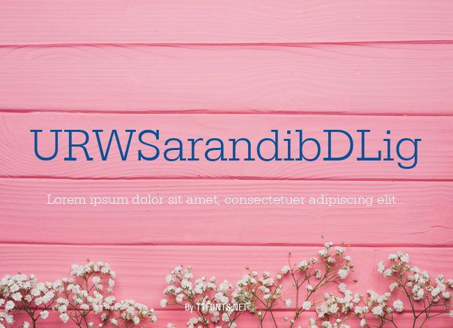 URWSarandibDLig example