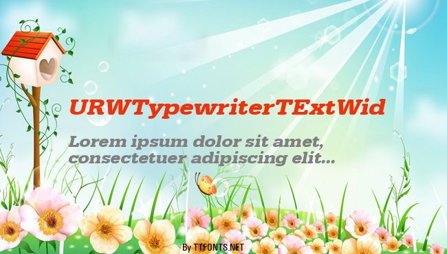 URWTypewriterTExtWid example