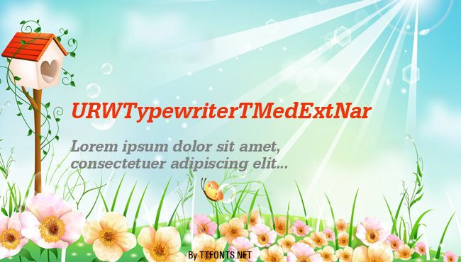 URWTypewriterTMedExtNar example