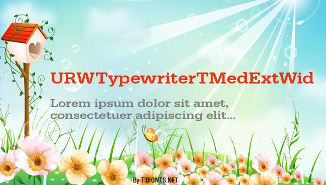 URWTypewriterTMedExtWid example