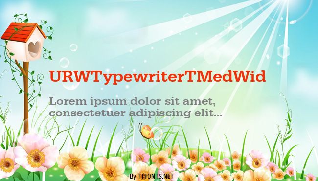 URWTypewriterTMedWid example