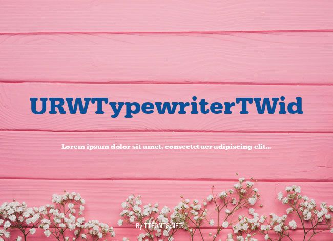 URWTypewriterTWid example