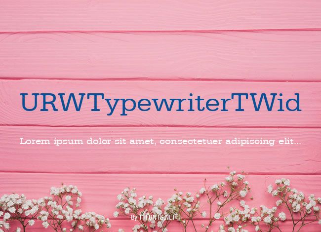 URWTypewriterTWid example