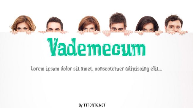 Vademecum example