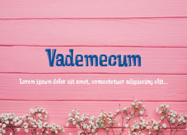 Vademecum example