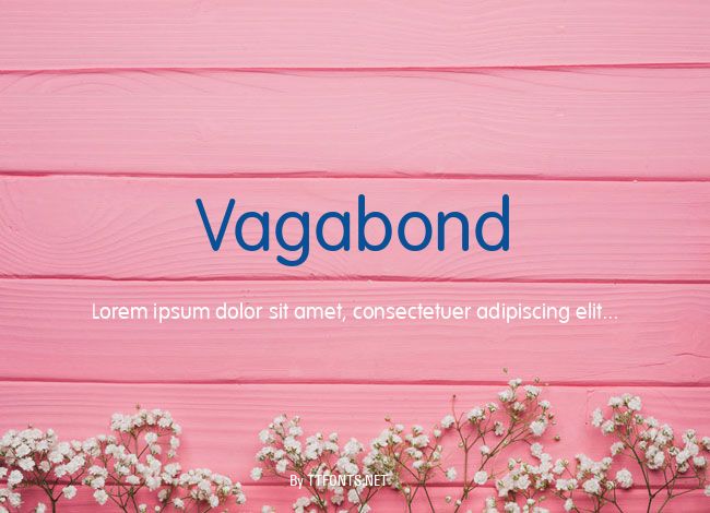Vagabond example