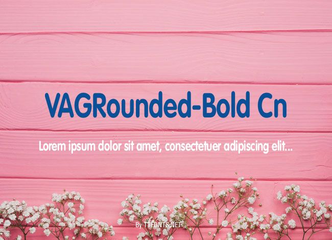 VAGRounded-Bold Cn example