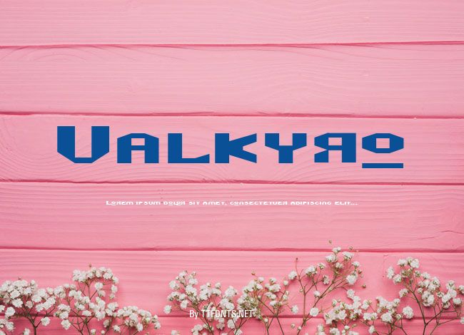 Valkyro example
