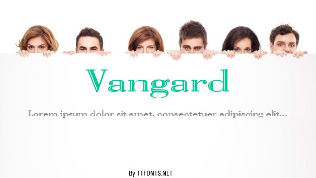 Vangard example