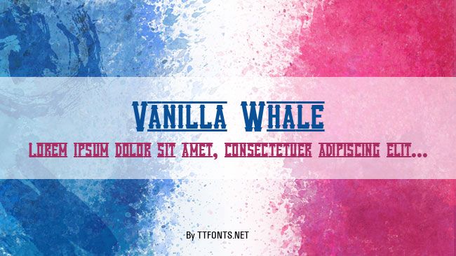 Vanilla Whale example