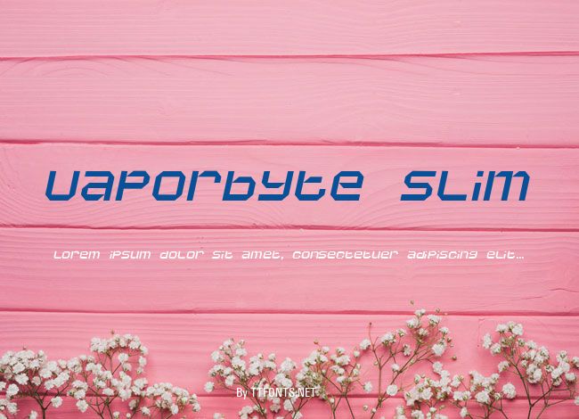 Vaporbyte Slim example