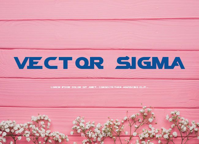 Vector Sigma example