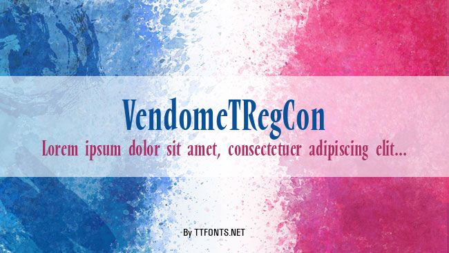 VendomeTRegCon example