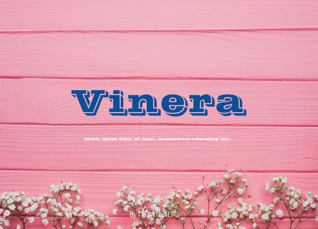 Vinera example