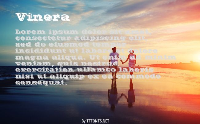 Vinera example