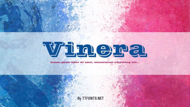 Vinera example