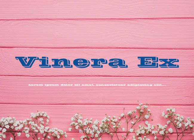 Vinera Ex example