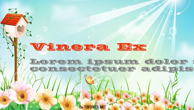 Vinera Ex example