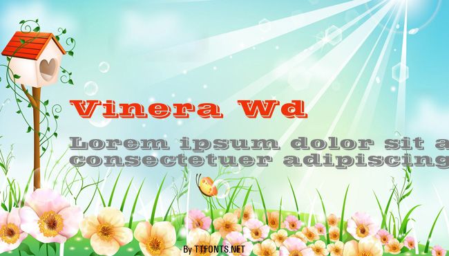 Vinera Wd example