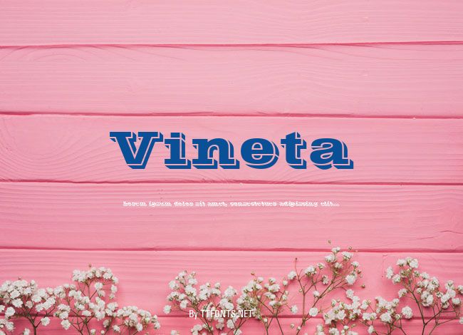 Vineta example