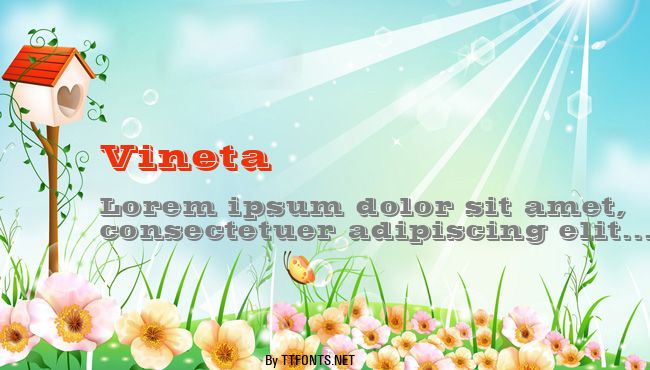 Vineta example