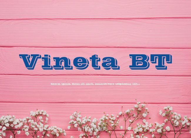 Vineta BT example