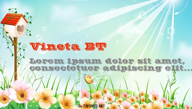 Vineta BT example