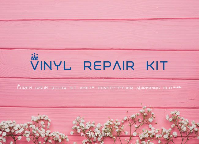 Vinyl repair kit example
