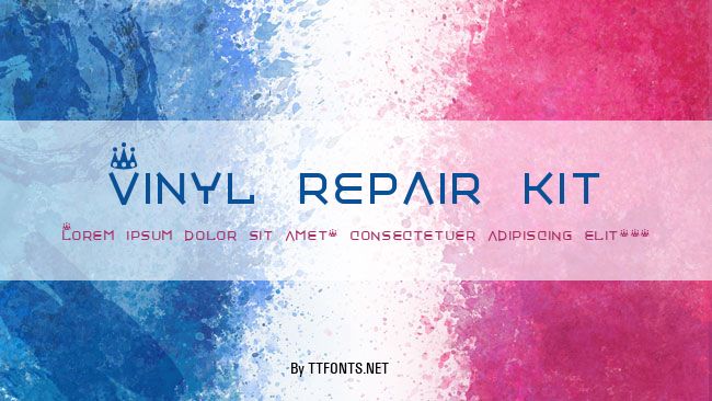Vinyl repair kit example