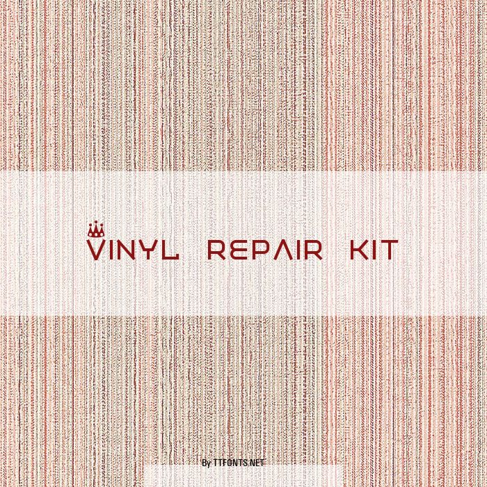 Vinyl repair kit example