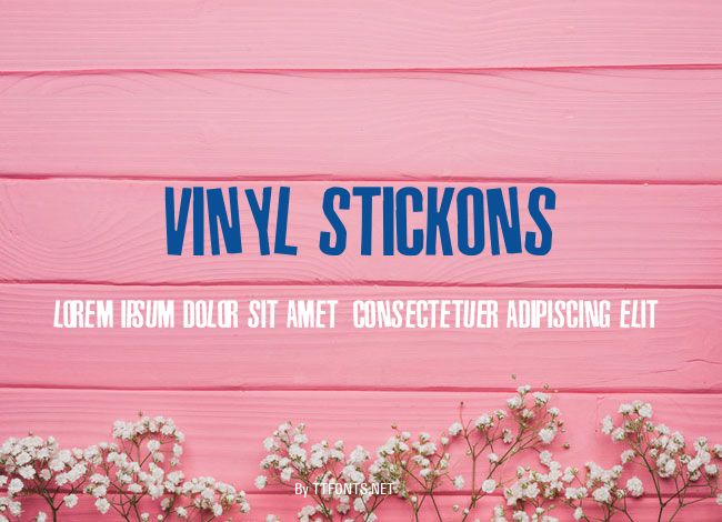 Vinyl Stickons example