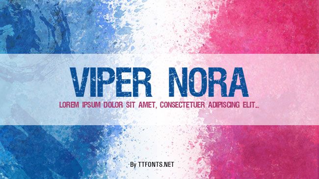 VIPER NORA example