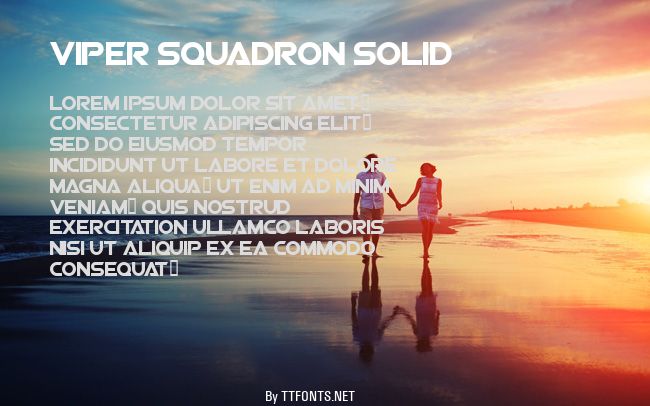 Viper Squadron Solid example