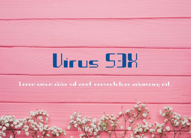 Virus 53X example