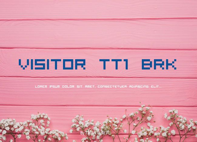 Visitor TT1 BRK example